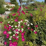 ゲストハウス Athena Skiathos
