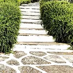 Athena Skiathos ゲストハウス