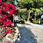 Athena Skiathos