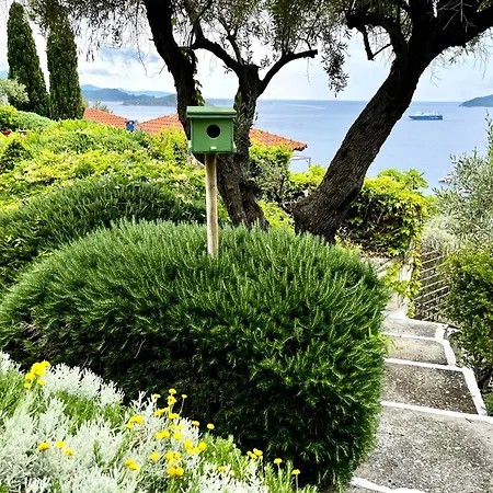Athena Skiathos 4*