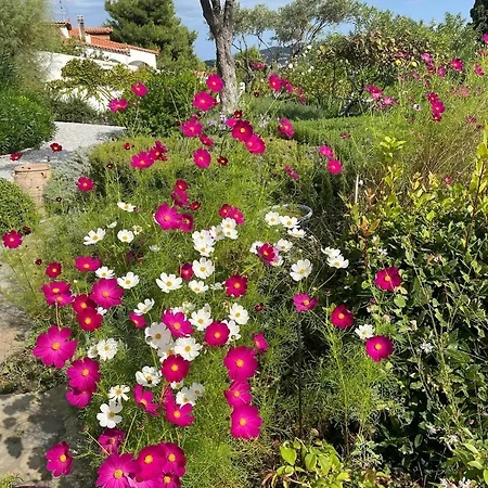 Konukevi Athena Skiathos