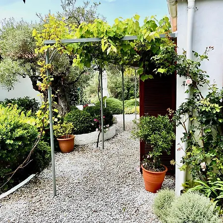 Athena Skiathos 4* Megali Ammos (Skiathos)