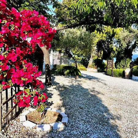 Athena Skiathos