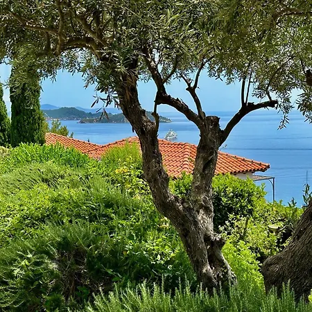 Athena Skiathos