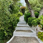 Guest house Athena Megali Ammos (Skiathos)
