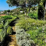 Guest house Athena 4*