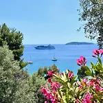 Athena Guest house 4*