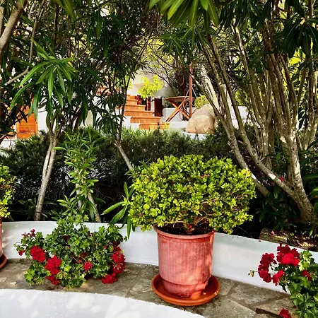 Athena Skiathos 4*