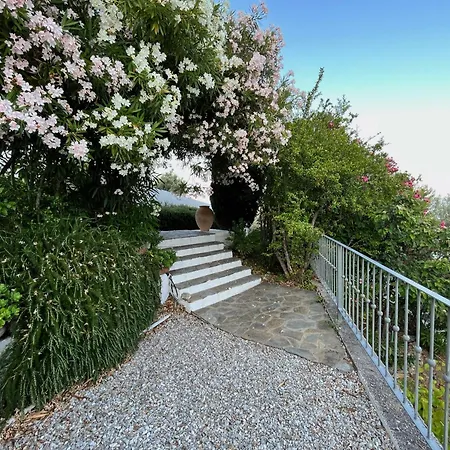 Athena Skiathos Pensjonat Megali Ammos (Skiathos)
