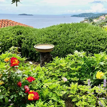 Athena Skiathos 4*
