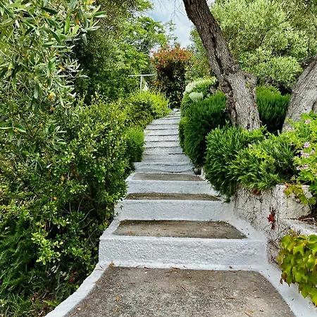 Pensjonat Athena Skiathos Megali Ammos (Skiathos)