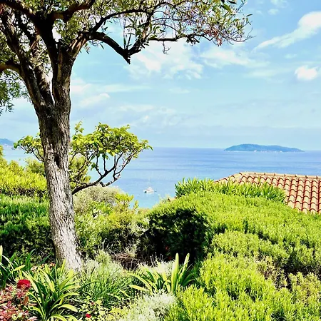 Athena Skiathos 4* Megali Ammos (Skiathos)