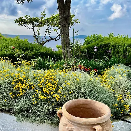 Athena Skiathos