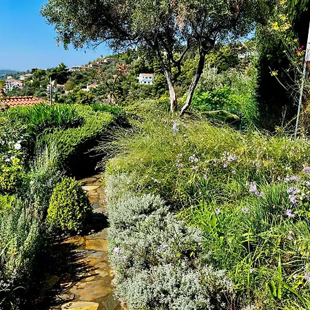 Pensjonat Athena Skiathos 4*