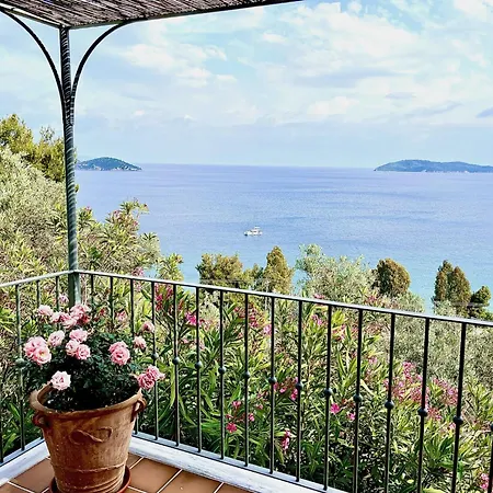 Athena Skiathos Megali Ammos (Skiathos)