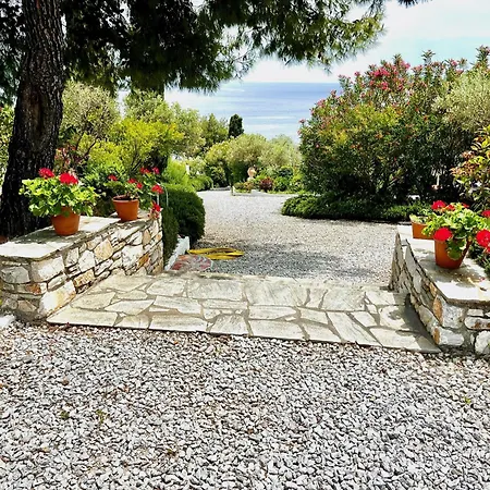 Athena Skiathos Pensjonat