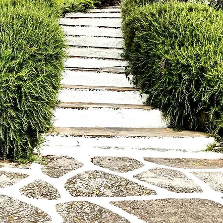 Athena Skiathos Pensjonat