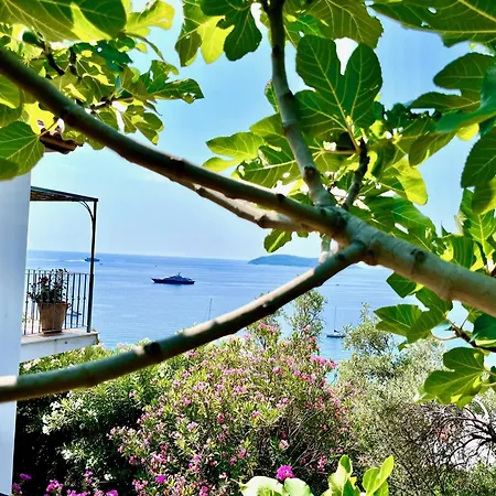 بيت ضيافة Athena Skiathos شاطئ ميغالي أموس