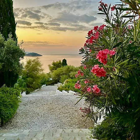 Athena Skiathos * Megali Ammos (Skiathos)