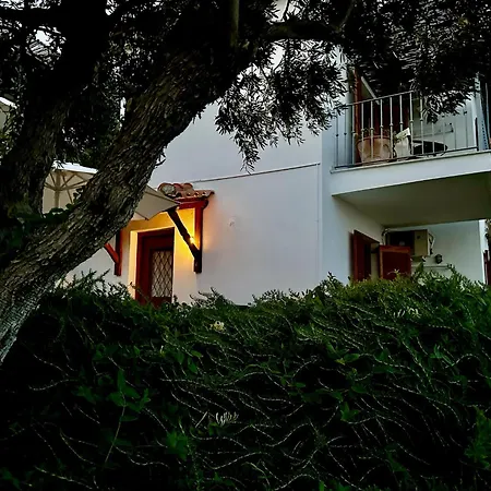 Athena Guest house