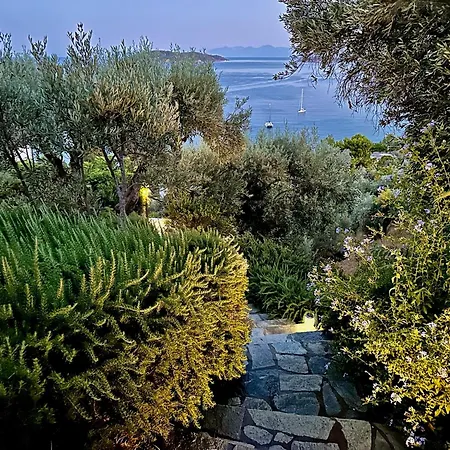 Athena Guest house *