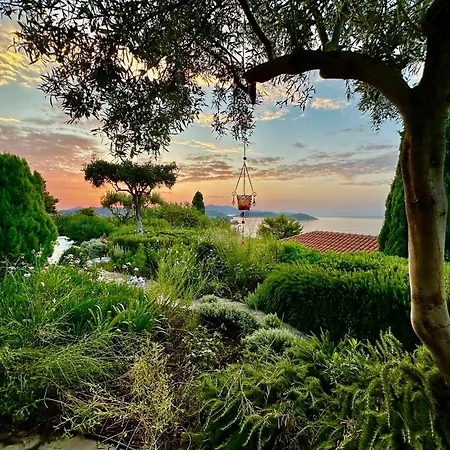 Guest house Athena Megali Ammos (Skiathos)