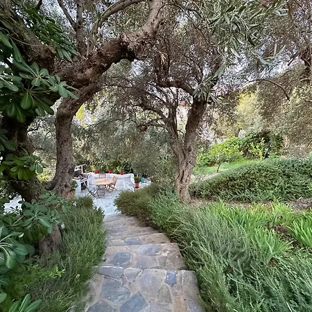 Athena Skiathos