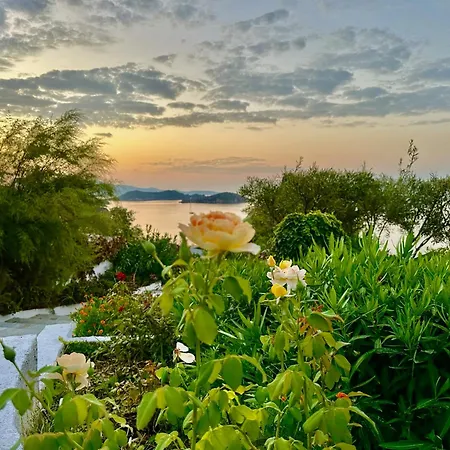 Athena Guest house Megali Ammos (Skiathos)