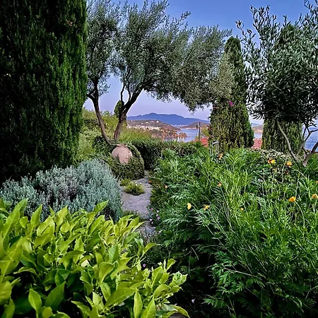 Athena Guest house