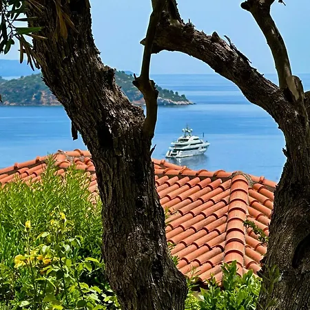 Guest house Athena *