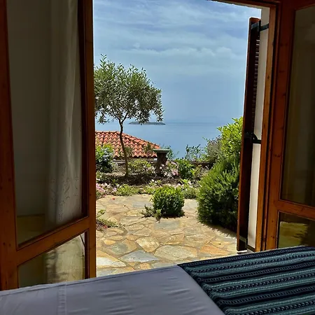 Athena Guest house