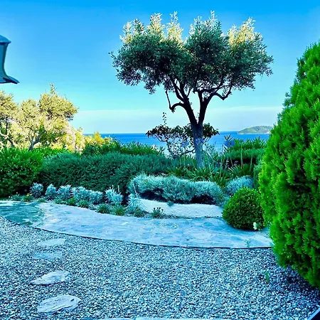 Guest house Athena Megali Ammos (Skiathos)