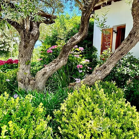 Athena Skiathos