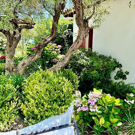 Guest house Athena *