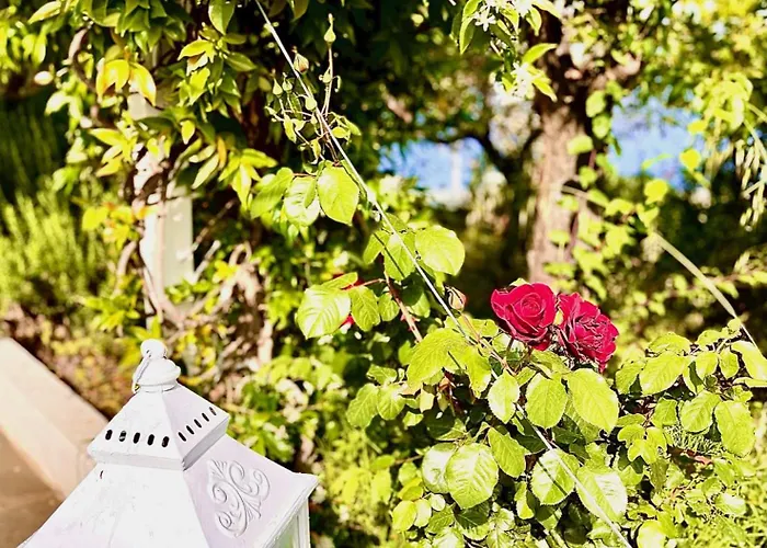 Athena Skiathos Pensión 4*