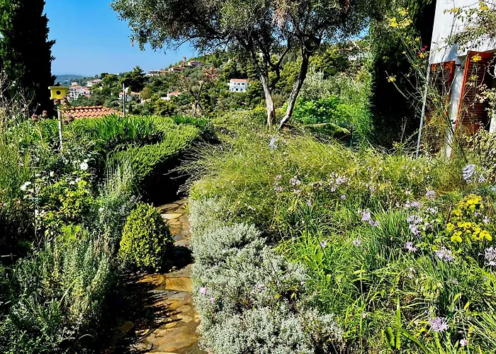 Pensión Athena Skiathos 4*