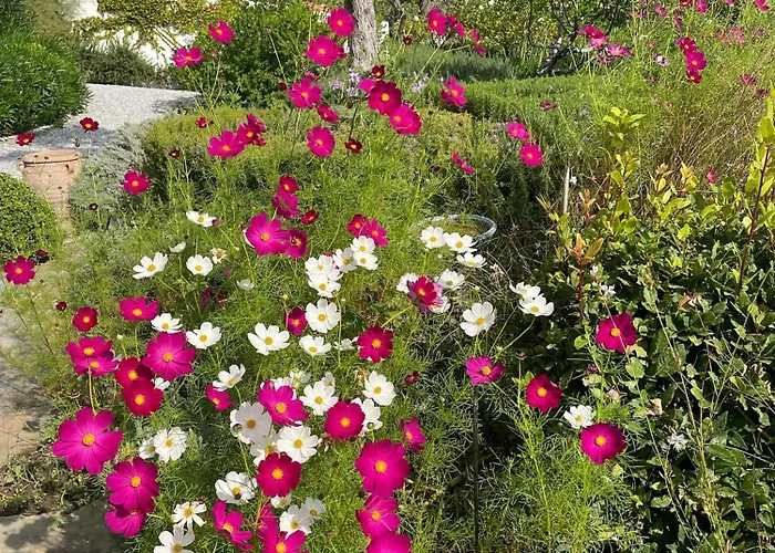 Pensión Athena Skiathos