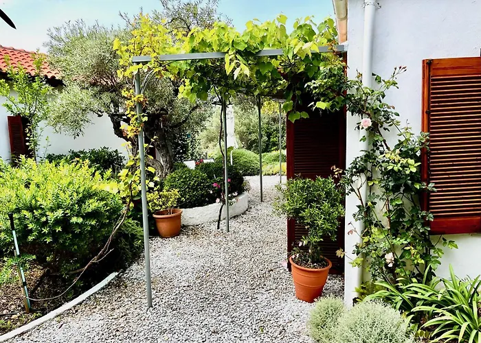 Athena Skiathos 4* Megali Ammos (Skiathos)