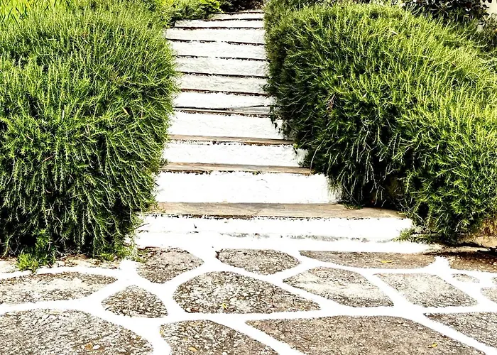 Athena Skiathos Pensión