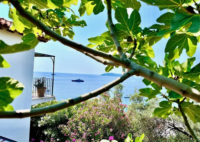 Pensión Athena Skiathos Megali Ammos (Skiathos)