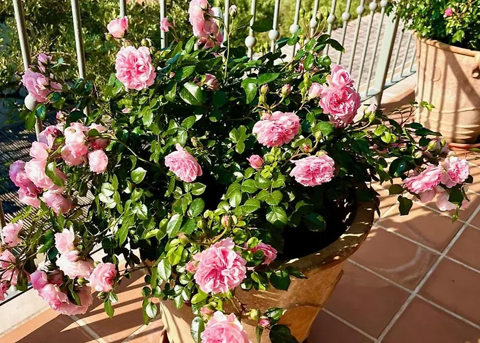 Athena Skiathos Konukevi 4*