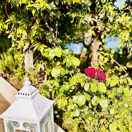 Athena Skiathos Vendégház 4*