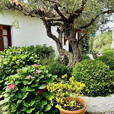 Athena Skiathos