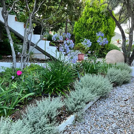 Vendégház Athena Skiathos 4*