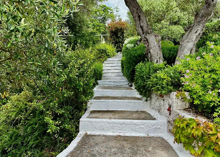 Guest house Athena Megali Ammos (Skiathos)