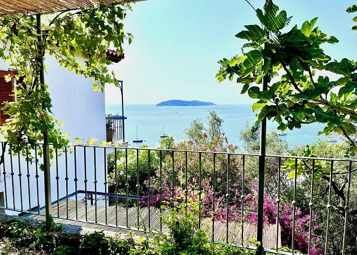 Athena Guest house Megali Ammos (Skiathos)