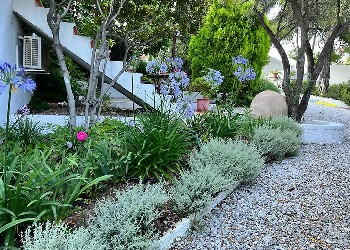 Guest house Athena 4*